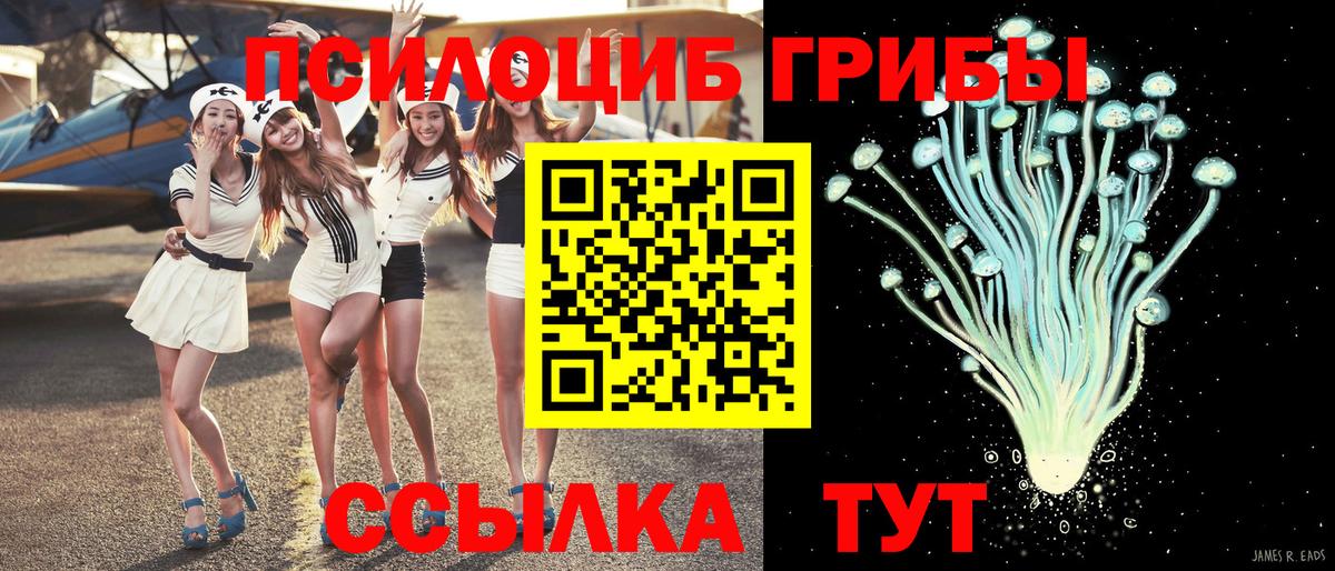 Псилоцибиновые грибы MAGIC MUSHROOMS  Галлюциногенные грибы Psilocybe  Томск  Вход с VPN 