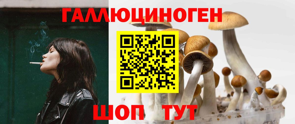 Галлюциногенные грибы Cubensis Томск